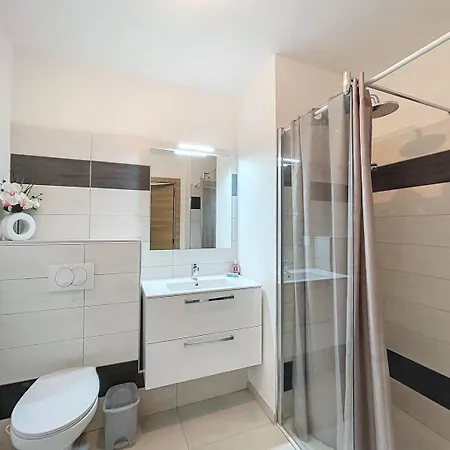 T3 Dans Neuve Avec Piscine